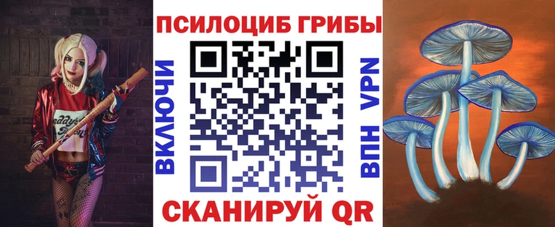 Галлюциногенные грибы Magic Shrooms хочу Тимашёвск
