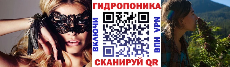 omg ТОР  где купить наркоту  Тимашёвск  Каннабис OG Kush 